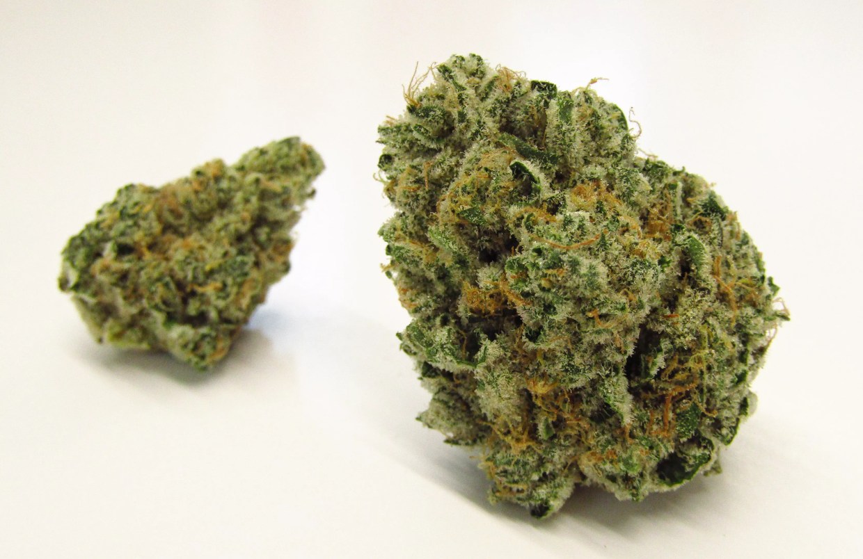 A5 Wagyu cannabis buds