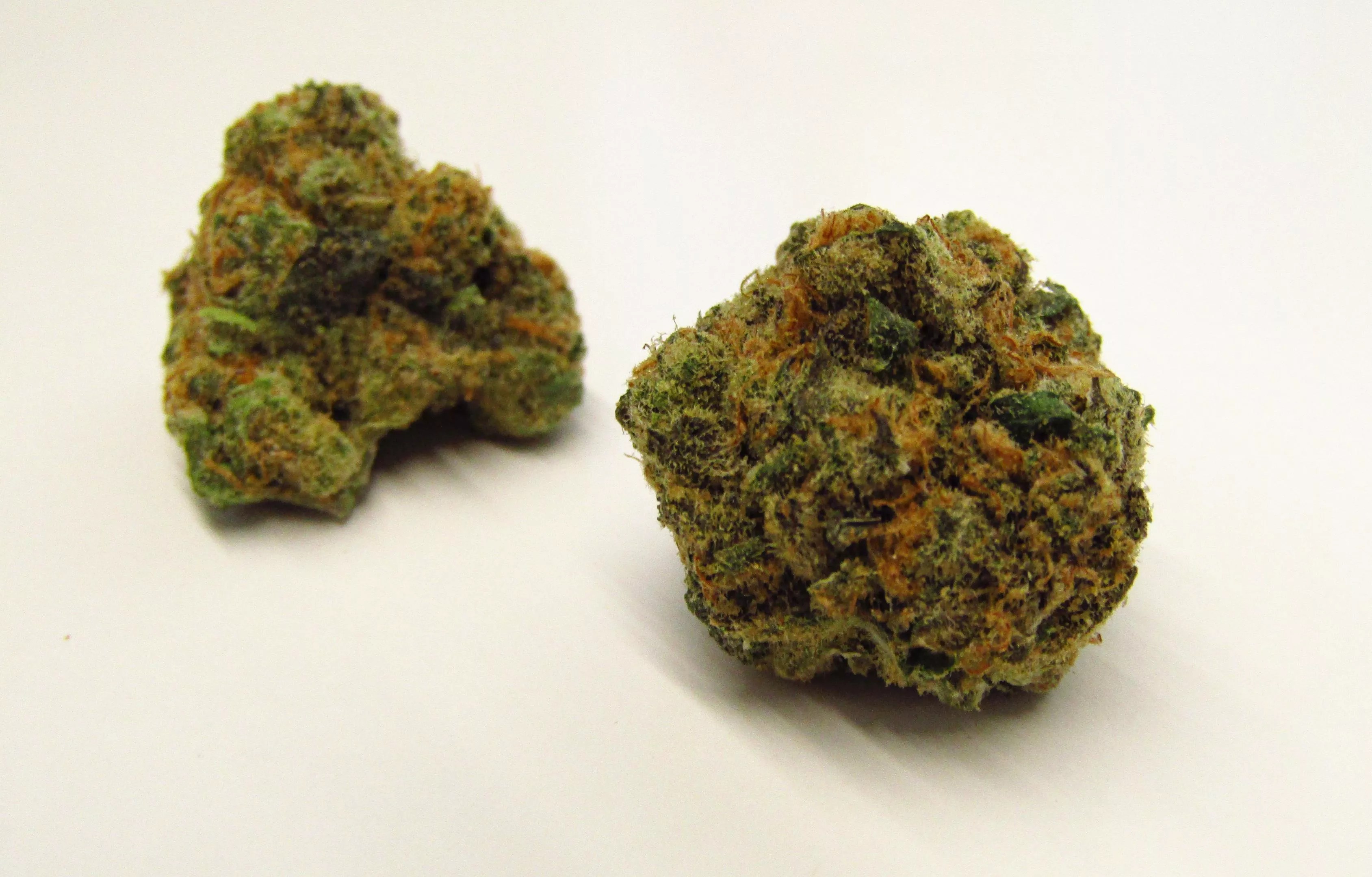Round dark-green marijuana buds