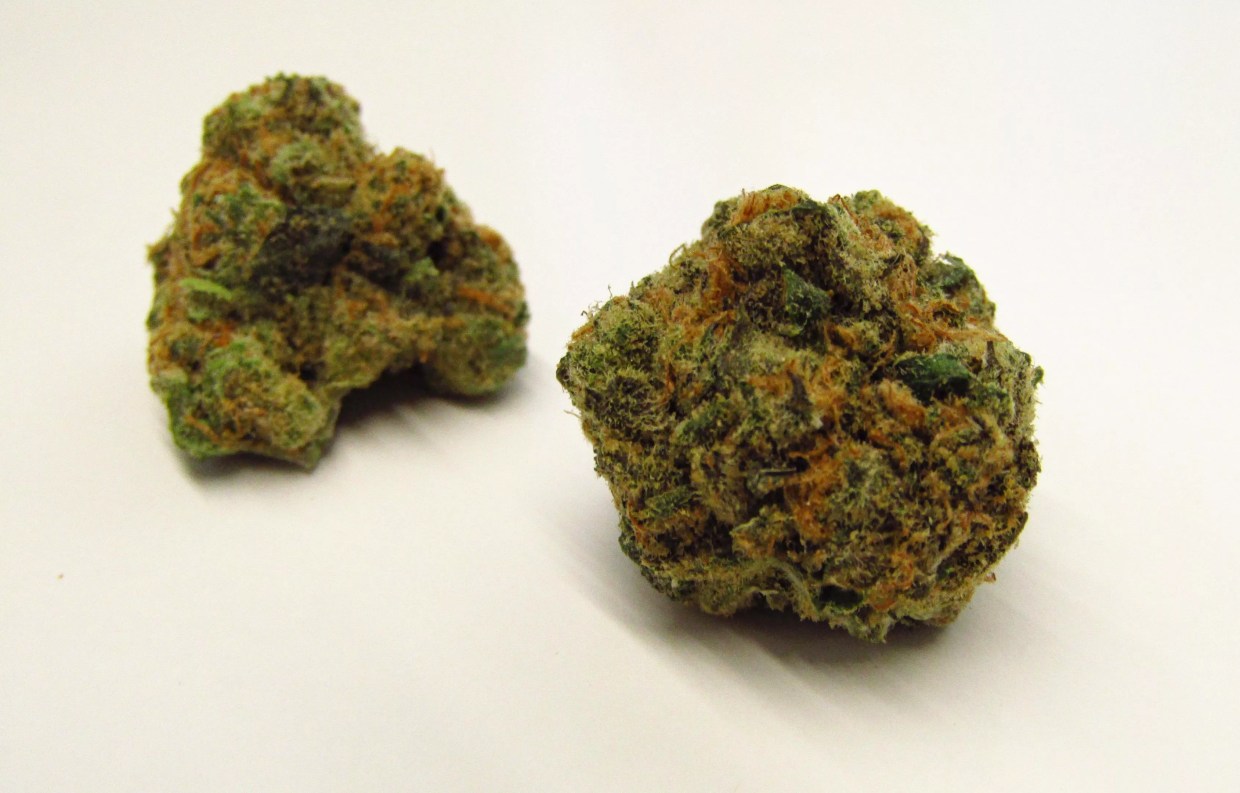 Round dark-green marijuana buds