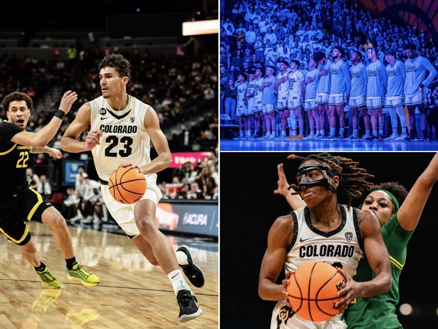 A photo collage showing players from CU men's basketball, CSU men's basketball and CU women's basketball teams.