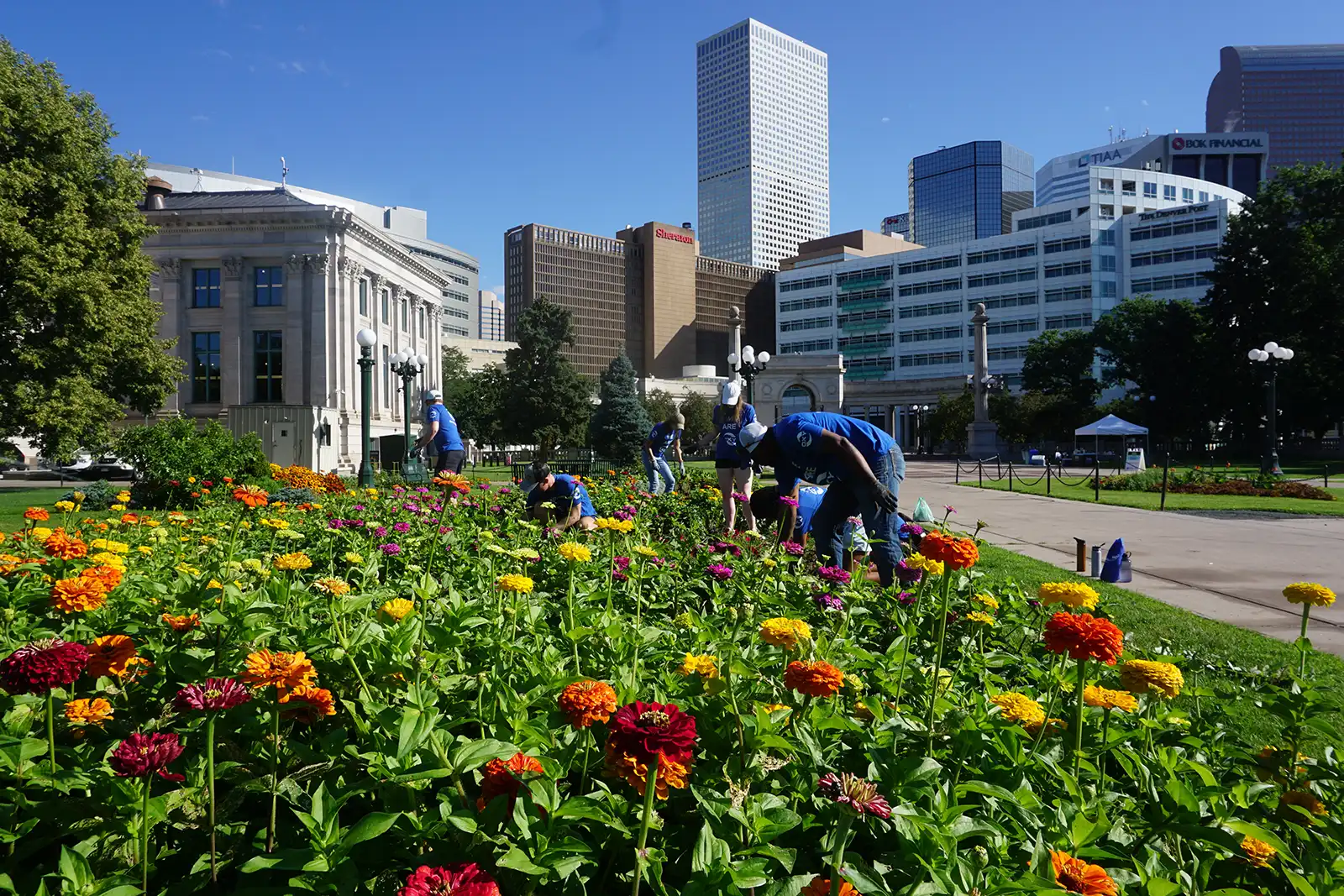 people caring for flower beds in Denver park