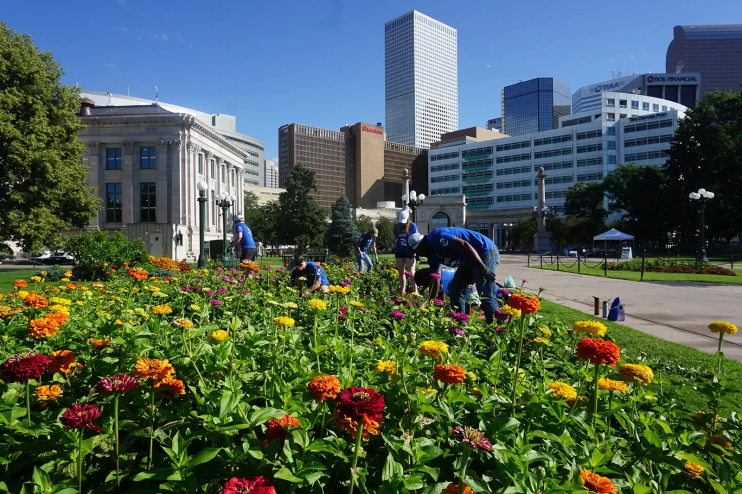 people caring for flower beds in Denver park