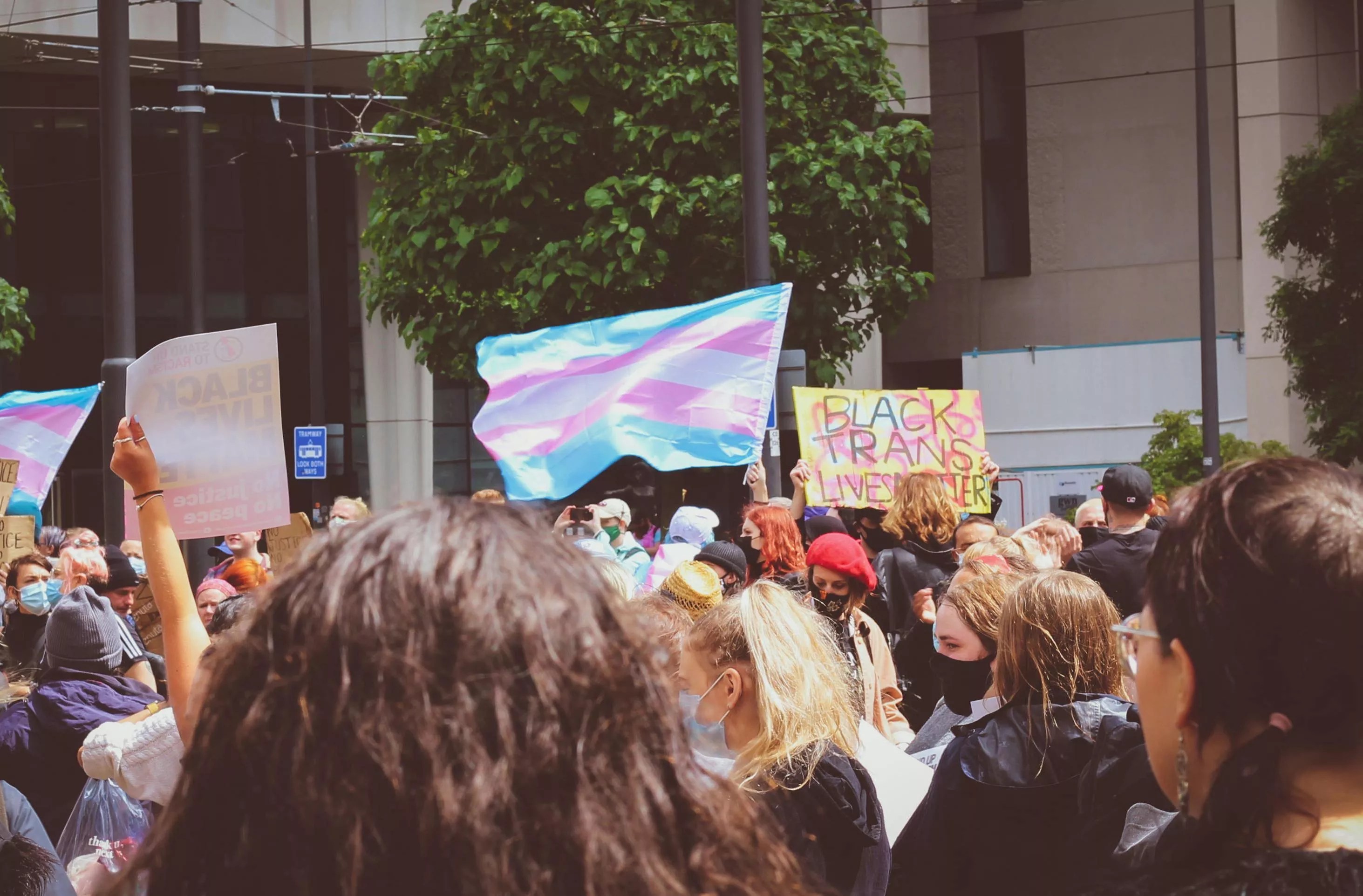 Transgender flag held up during protest.