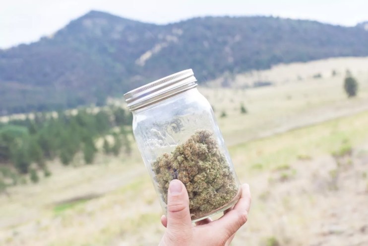 A jar of marijuana held in front of Colorado mountains
