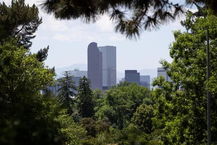 view of building through trees