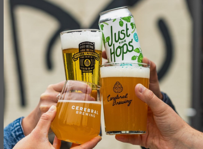 hands holding glasses and cans of beer