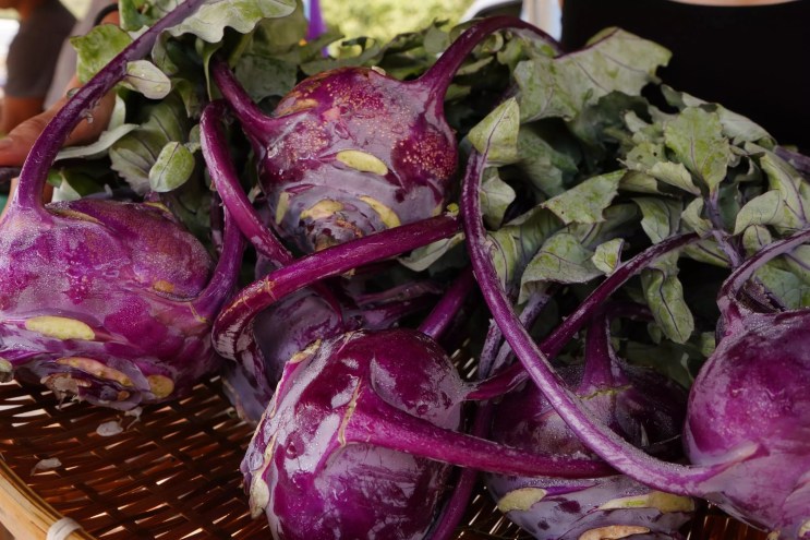 purple kohlrabi