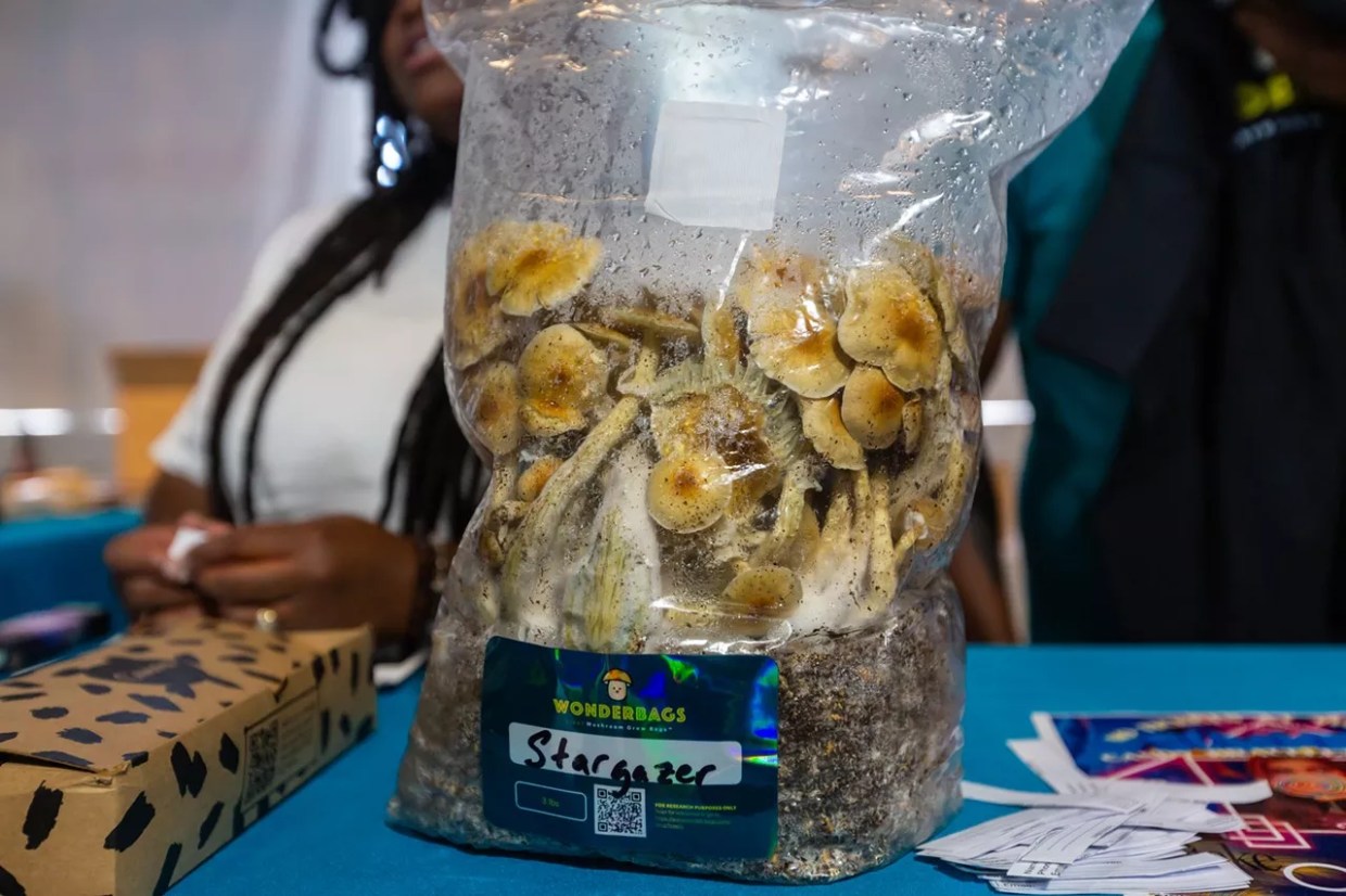 Psilocybin mushroom grow bag, Wonderbags