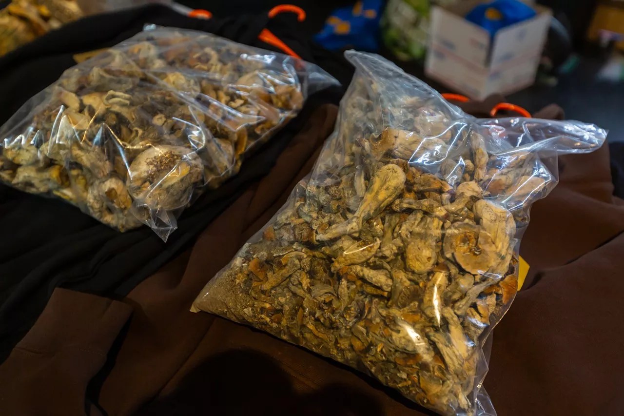 Bags of psilocybin magic mushrooms