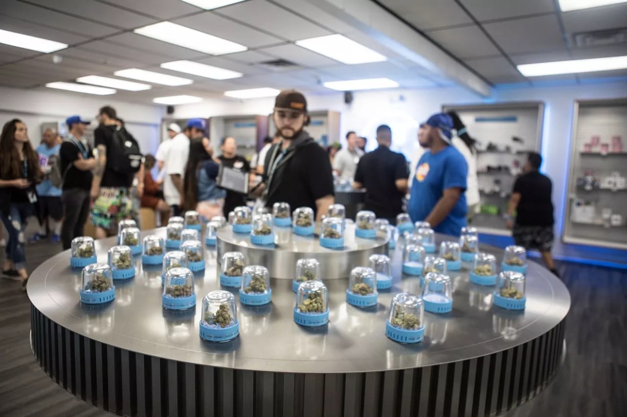Marijuana dispensary shoppers at Cookies