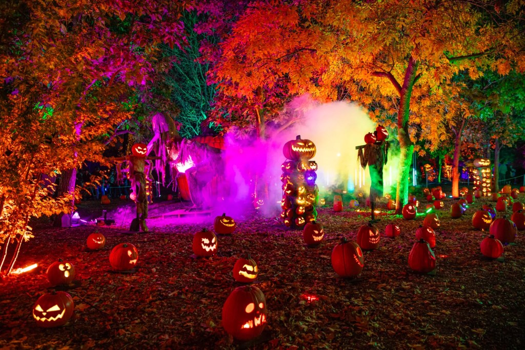 pumpkins in halloween scene