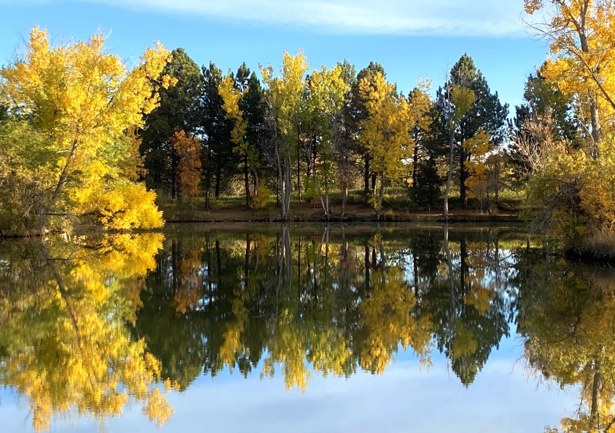 park in fall with pond in front