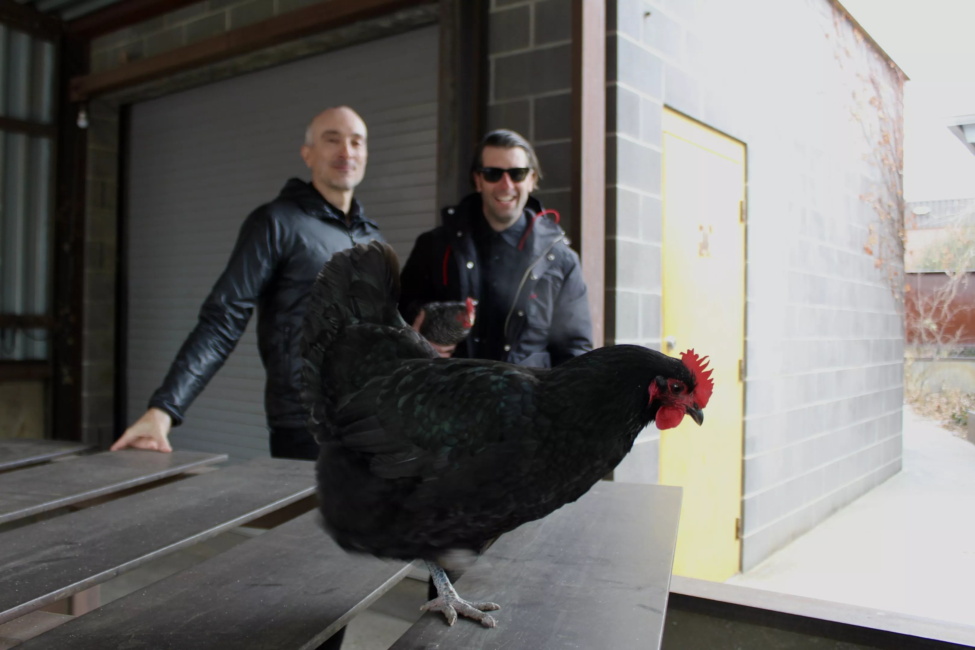 Two men stand behind a black chicken on a table