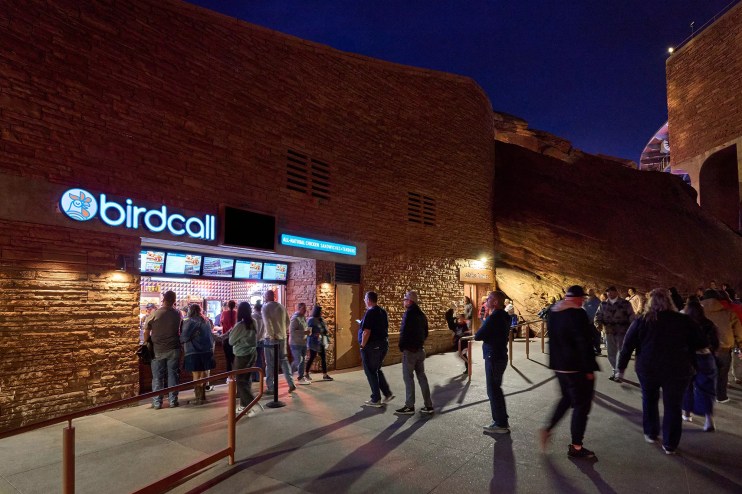 chicken stand in dark