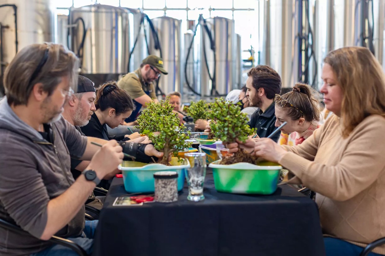 A group crafting tiny trees during a Bonsai Bar event