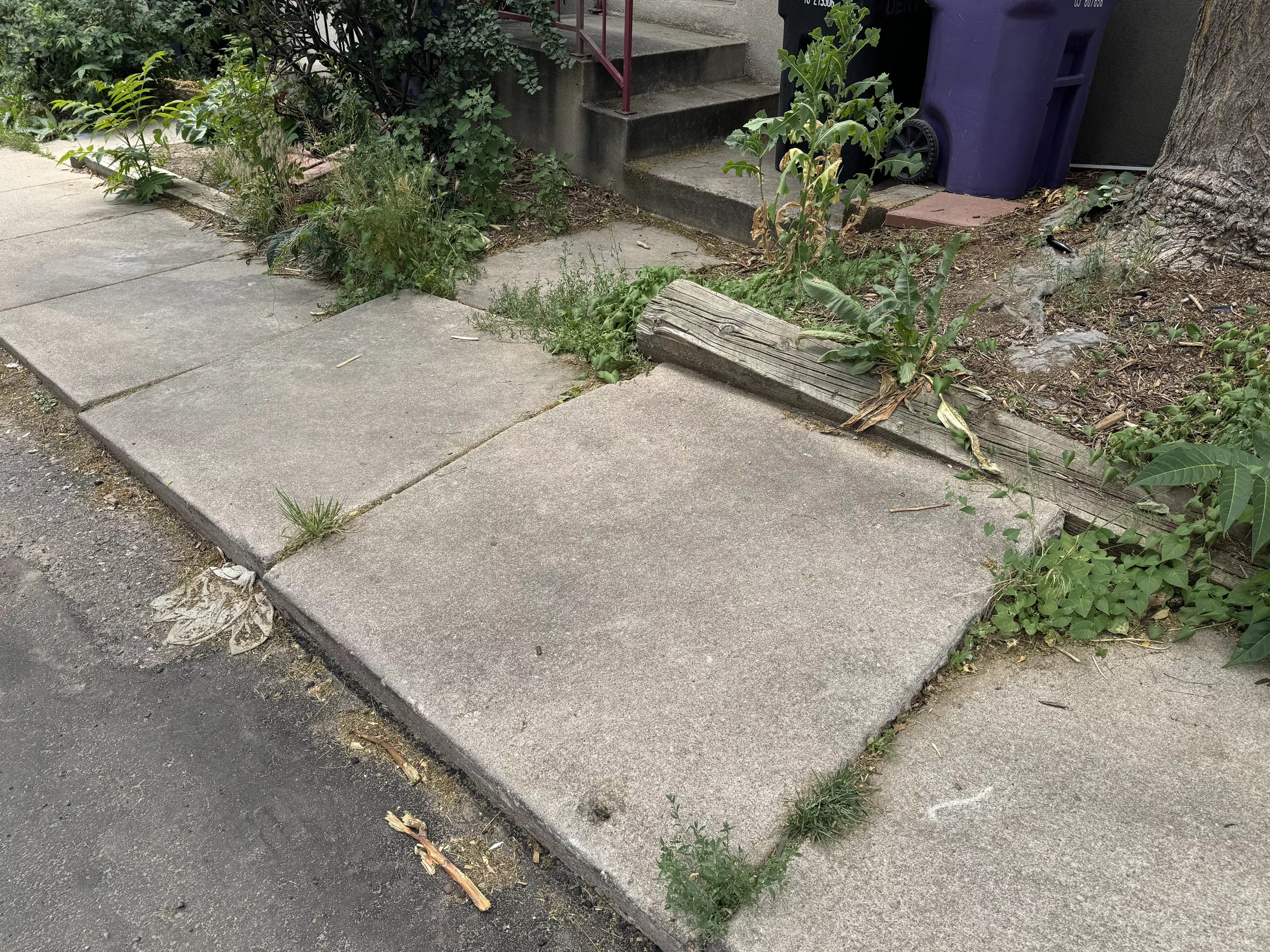 uneven sidewalk in Denver