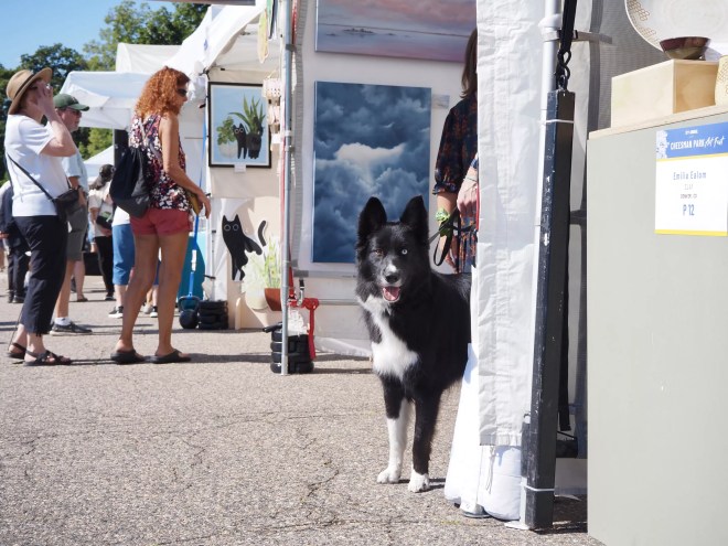 a dog peeks out of a booth