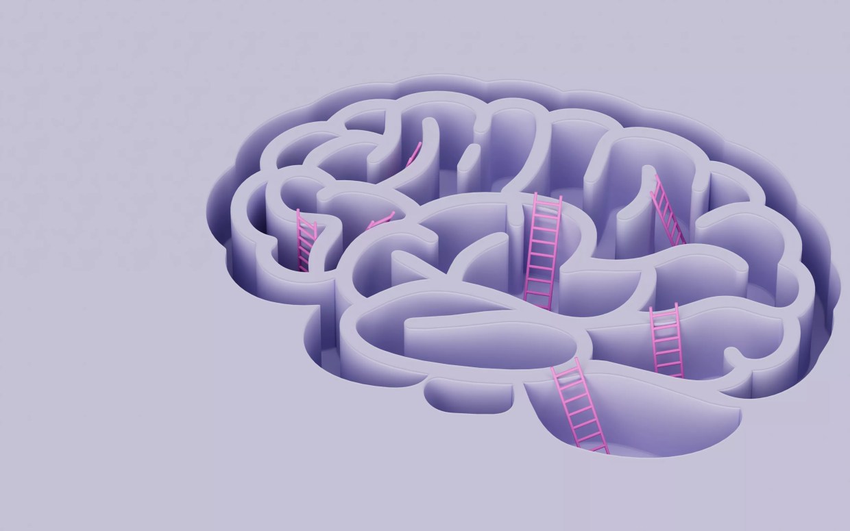 brain illustration with ladders